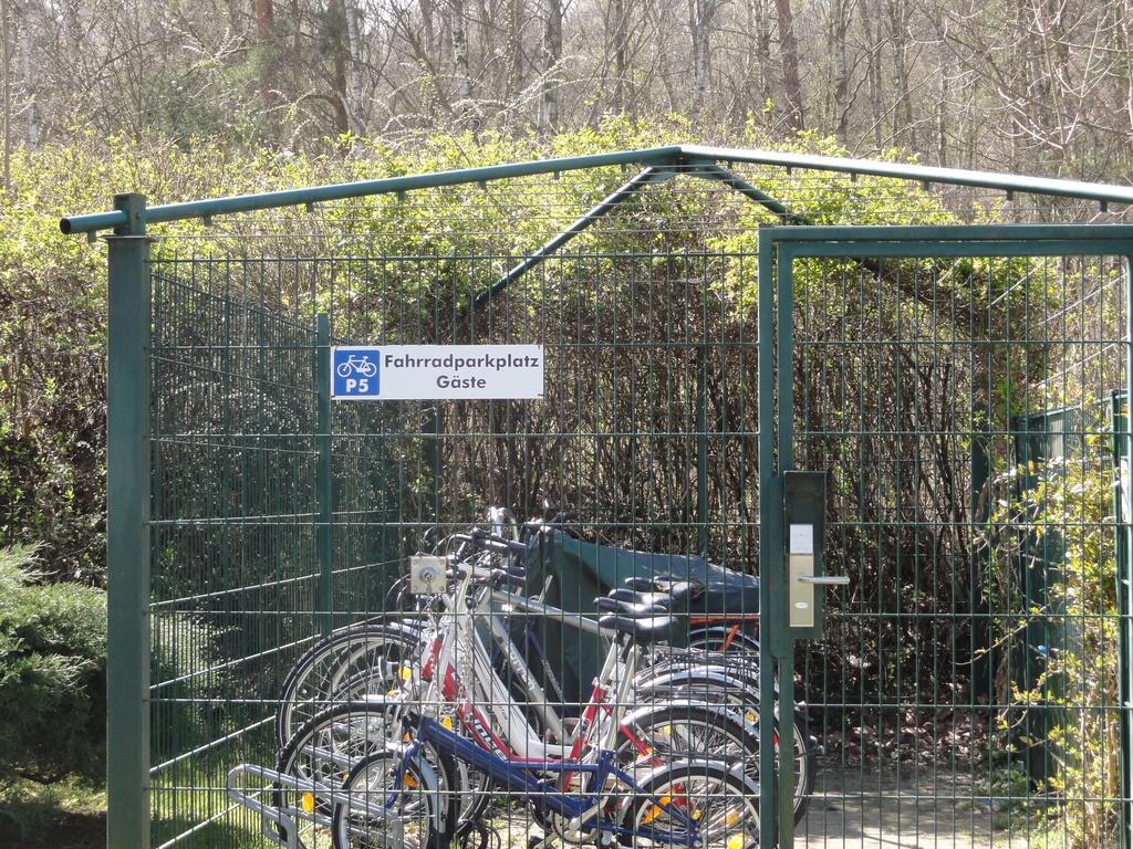 Ferienwohnung Im Duenenpark Binz Rom bilde