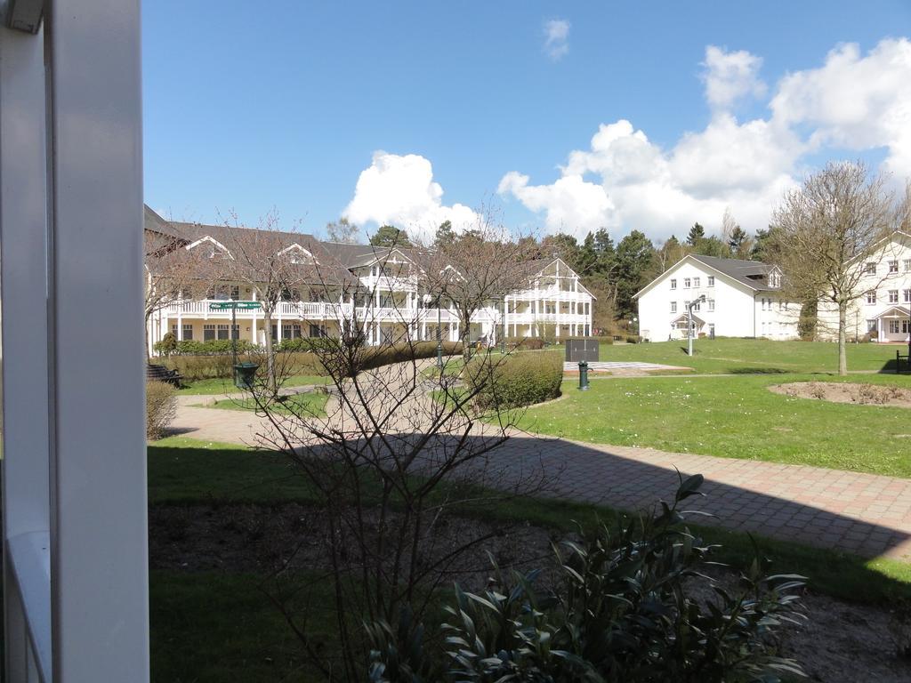 Ferienwohnung Im Duenenpark Binz Rom bilde